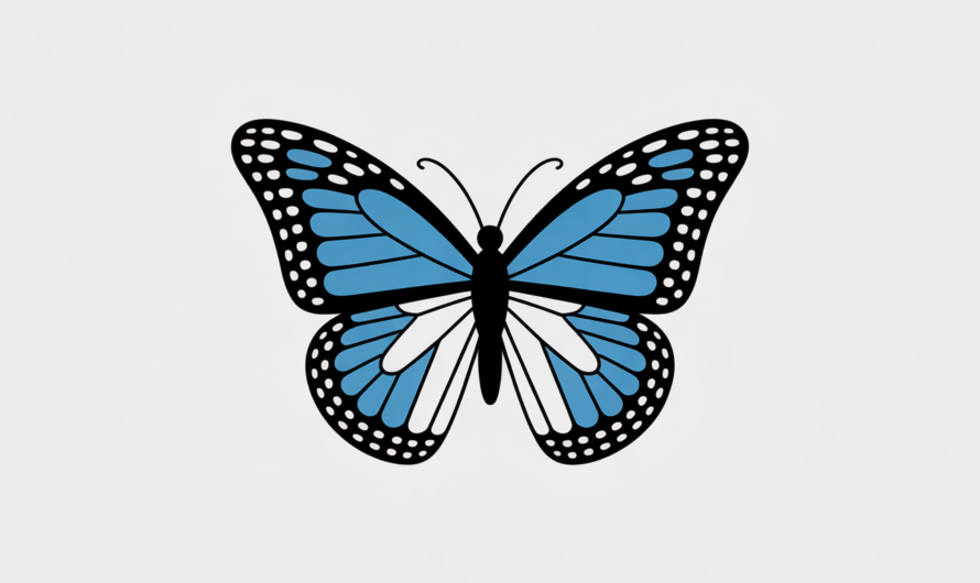 Step by Step Guide on How to Earn with Butterfly Spreads